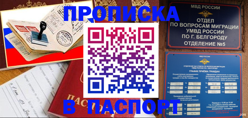 купить прописку в Амурской области